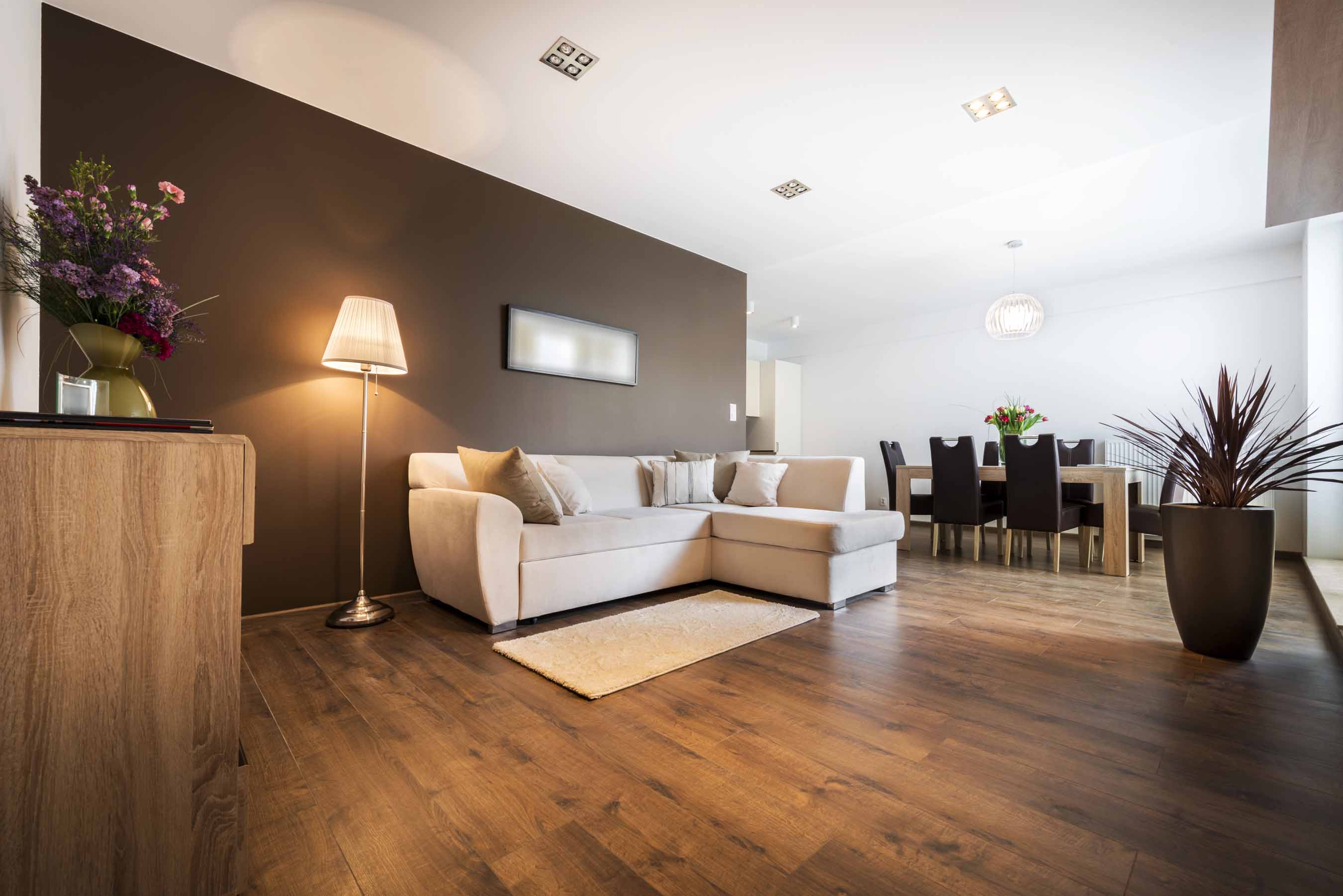 Salon moderne avec mur peint en brun, canapé blanc et parquet en bois